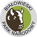 bialowieski dobry male