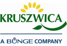 logo kruszwica