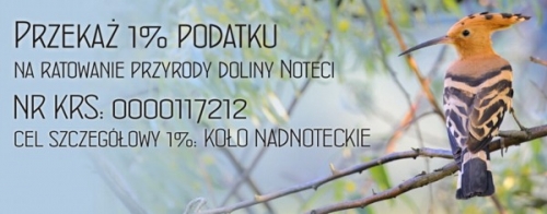 1% podatku na ratowanie nadnoteckiej przyrody