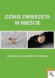 2016 Dzikie zwierzeta w miescie