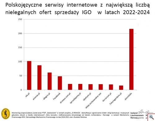 Monitoring e-handlu IGO dominujace serwisy