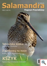 Okładka Magazynu