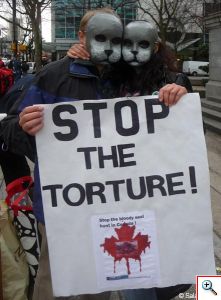 Stop the torture - antisealing event in Vancouver